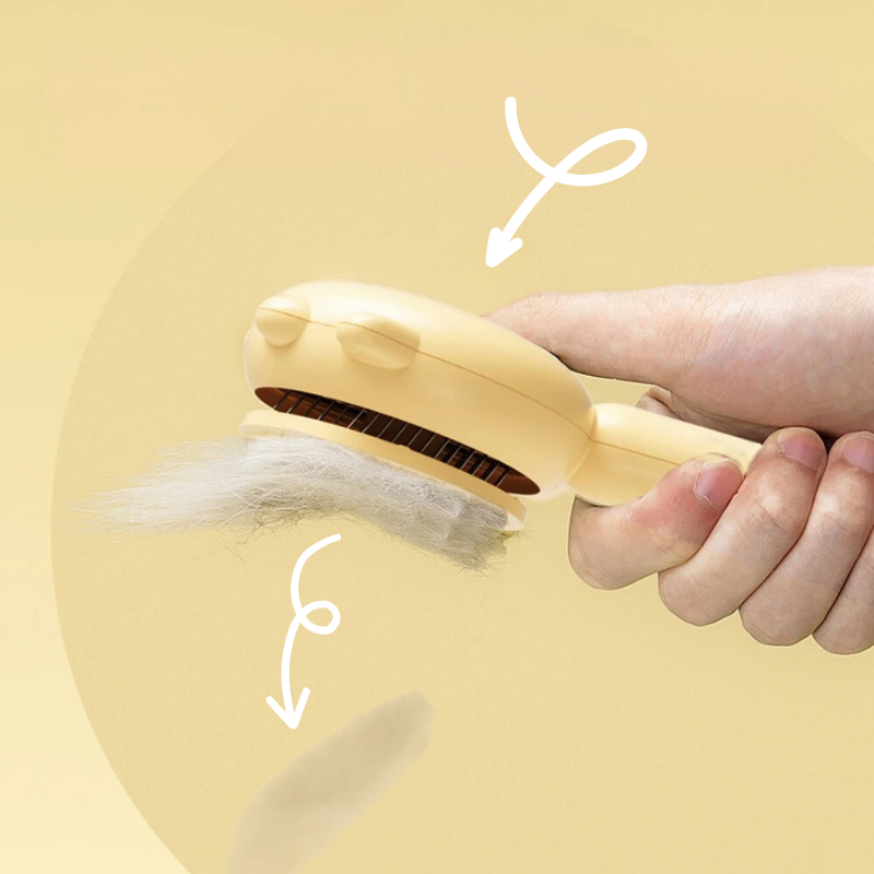 Brosse Pelage Brillant