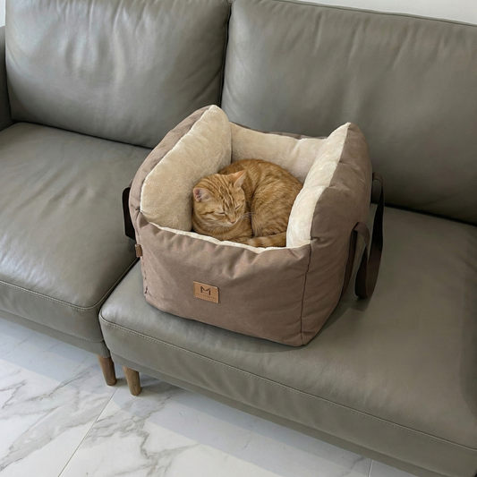 Siège de voiture portable