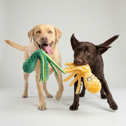 Jouet poulpe résistant à la mastication
